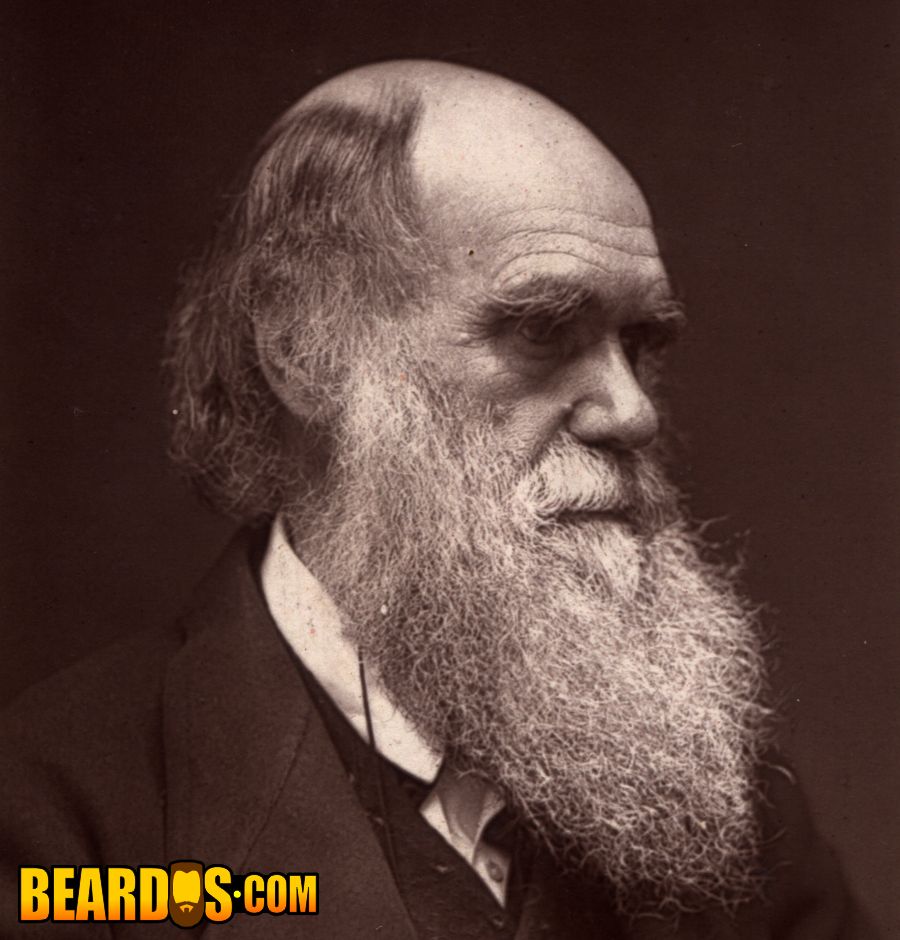 Charles Darwin beardo